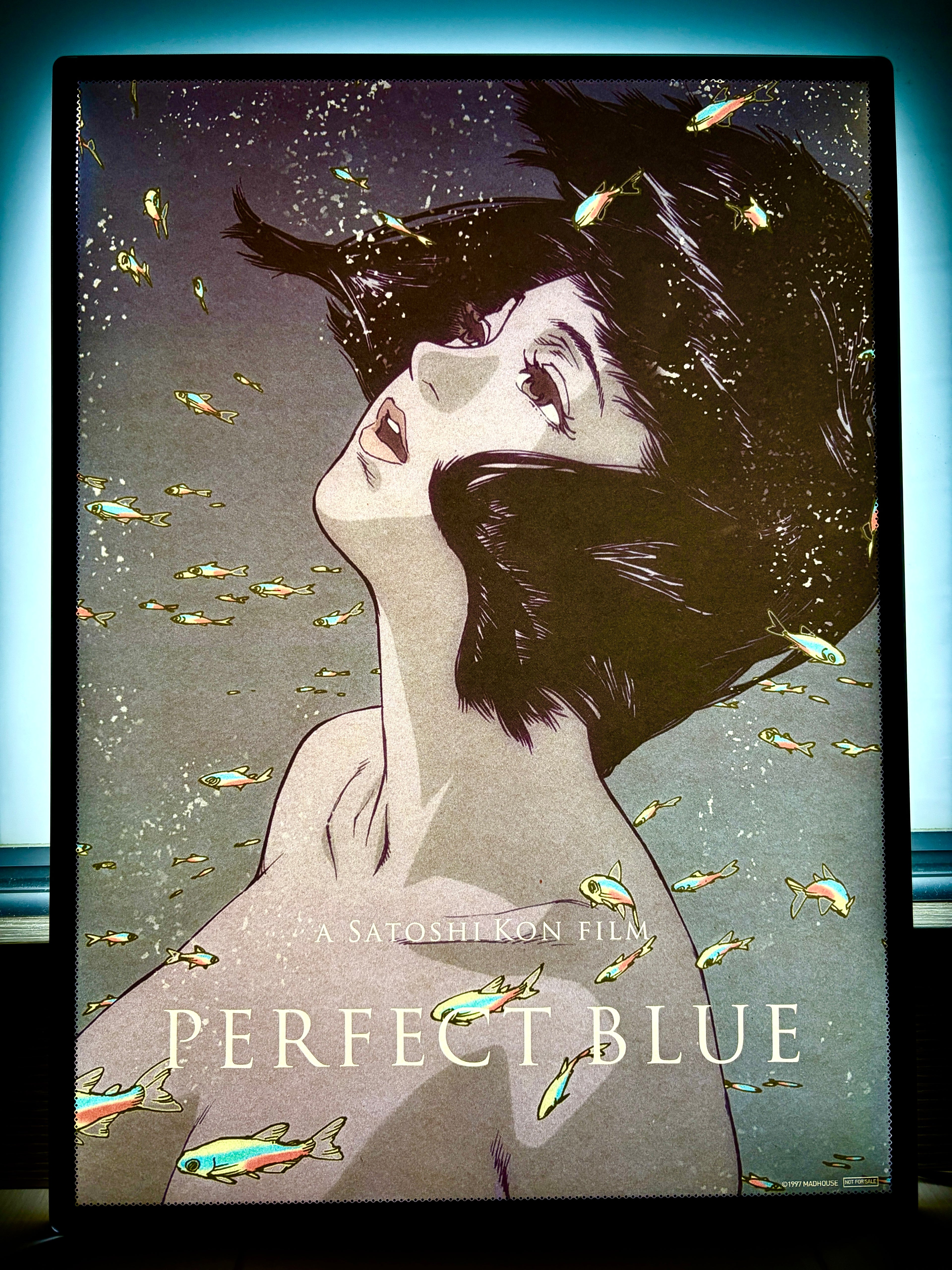 電影：藍色恐懼