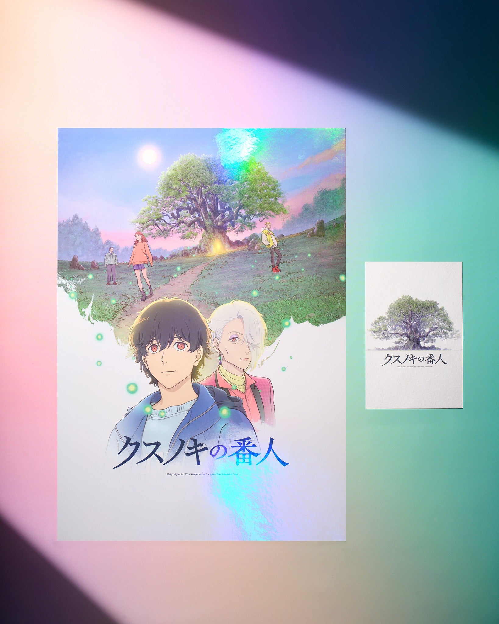 【預訂】 電影：祈念之樹